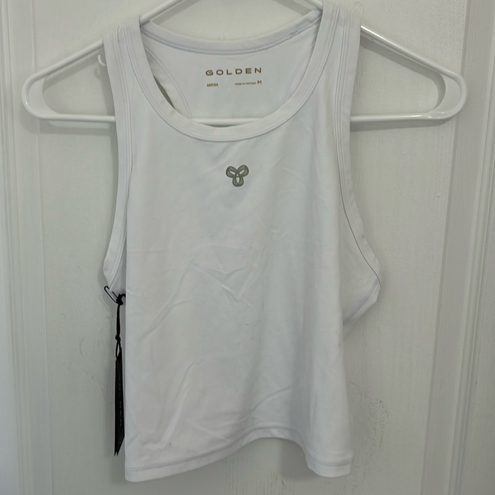 Aritzia Top
